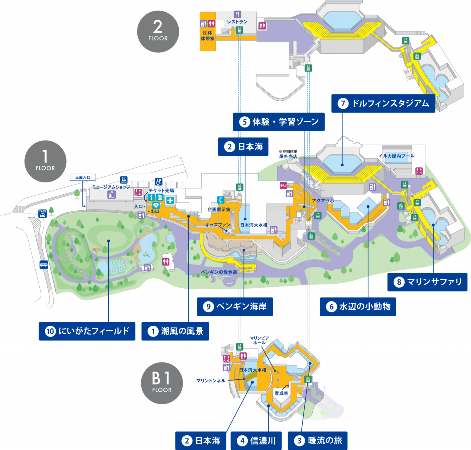 館内マップ 新潟市水族館 マリンピア日本海