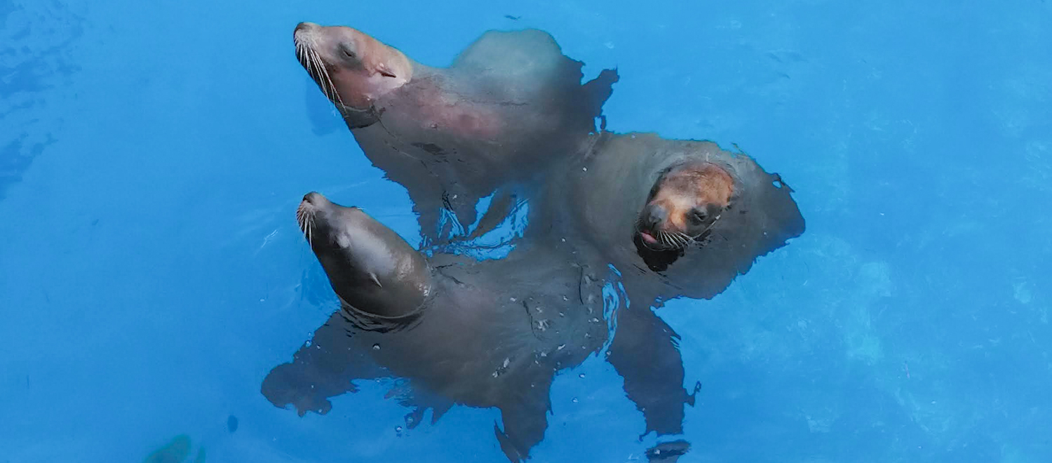 新潟市水族館 マリンピア日本海