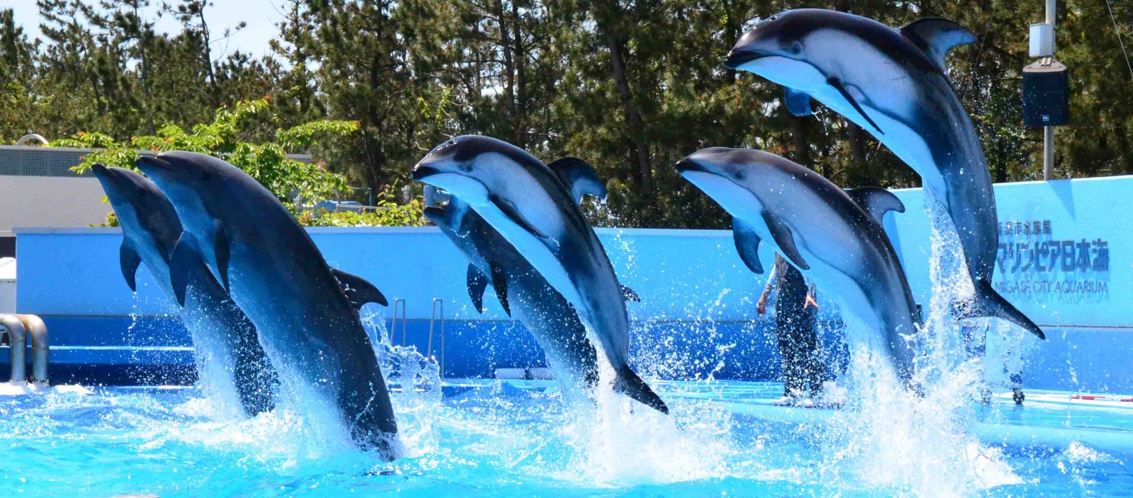 新潟市水族館 マリンピア日本海