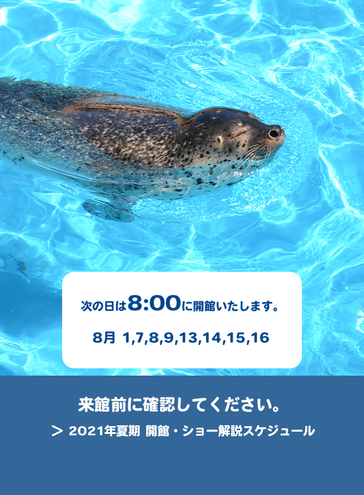 新潟市水族館瑪淋匹亞日本海 新潟市水族館マリンピア日本海