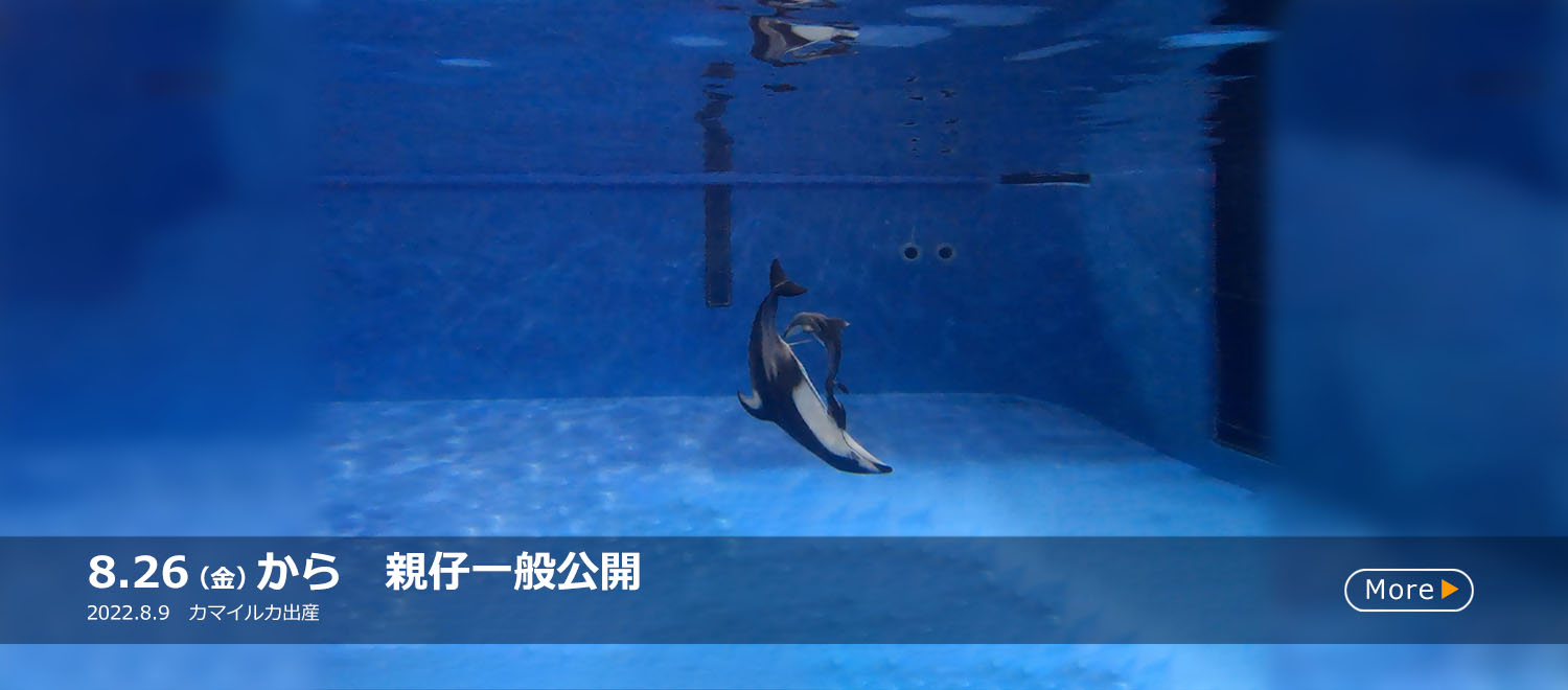 新潟市水族館 マリンピア日本海