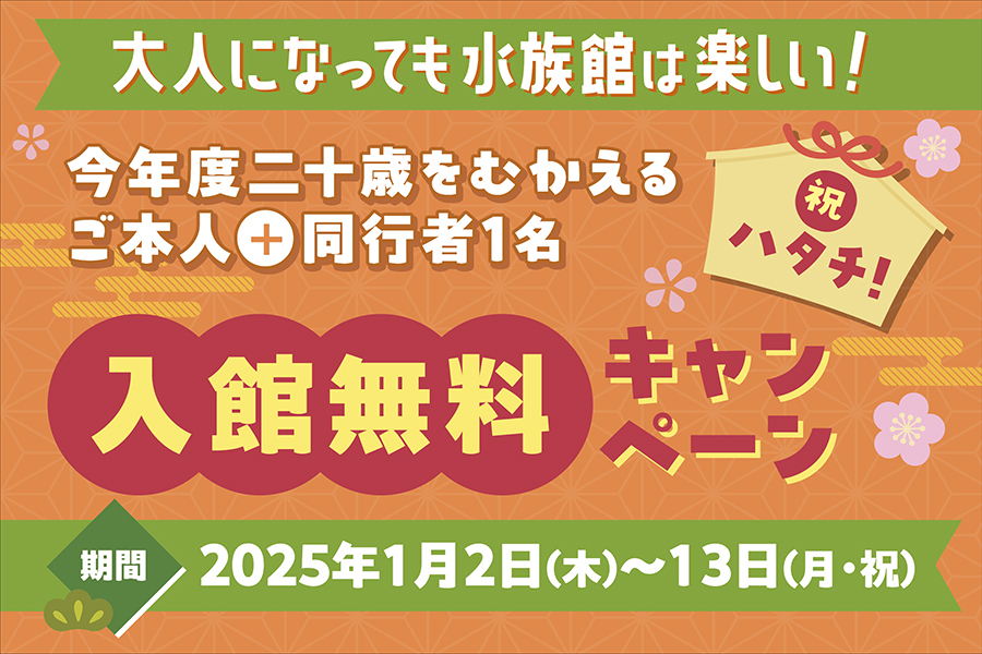 令和６年度 新潟市二十歳のつどい 対象者と同行１名様 入館料無料