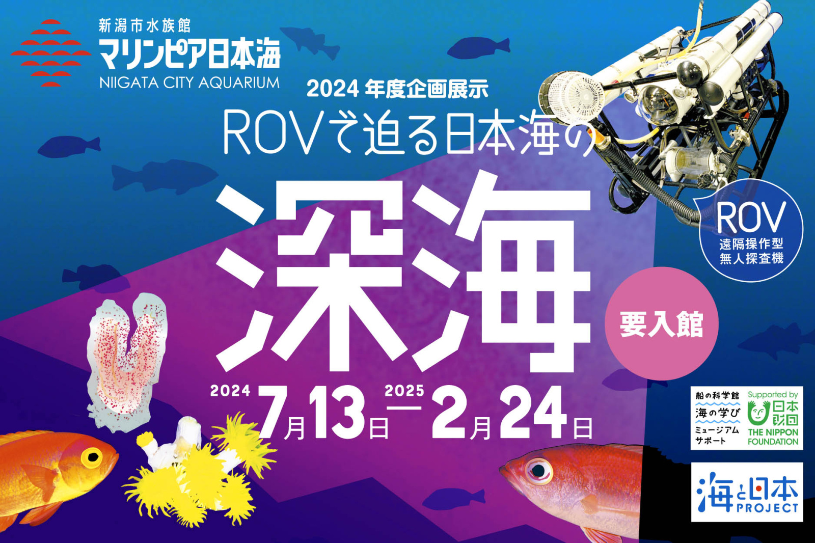 企画展示「ROVで迫る 日本海の深海」