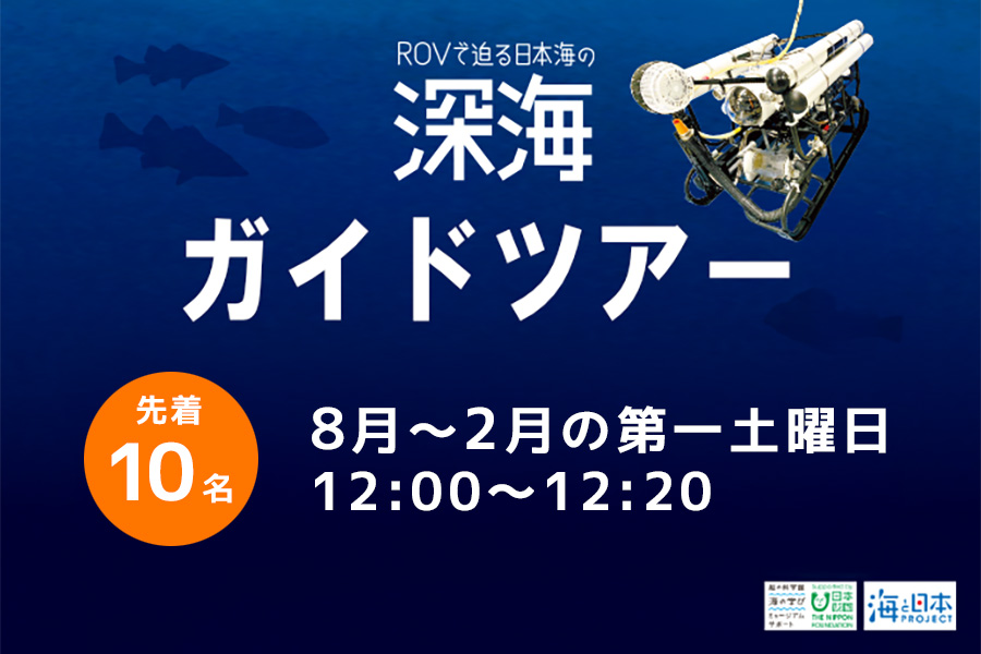 企画展示 ROVで迫る日本海の深海 ガイドツアー