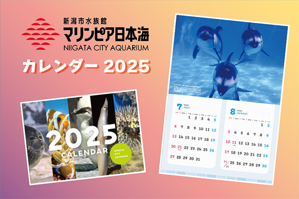 2025年オリジナルカレンダープレゼント　11月23日～