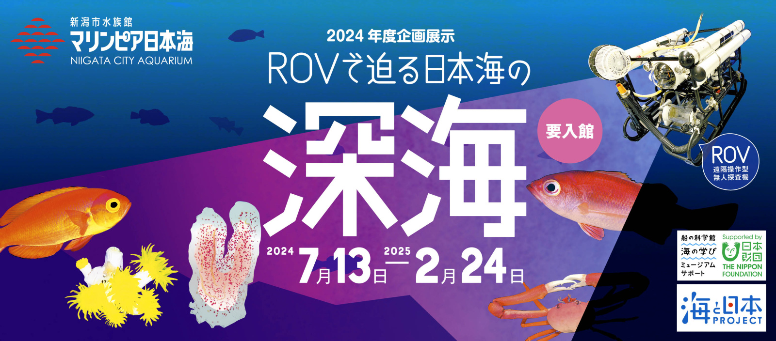 企画展示 ROVで迫る 日本海の深海 2024/7/13～2025/2/24