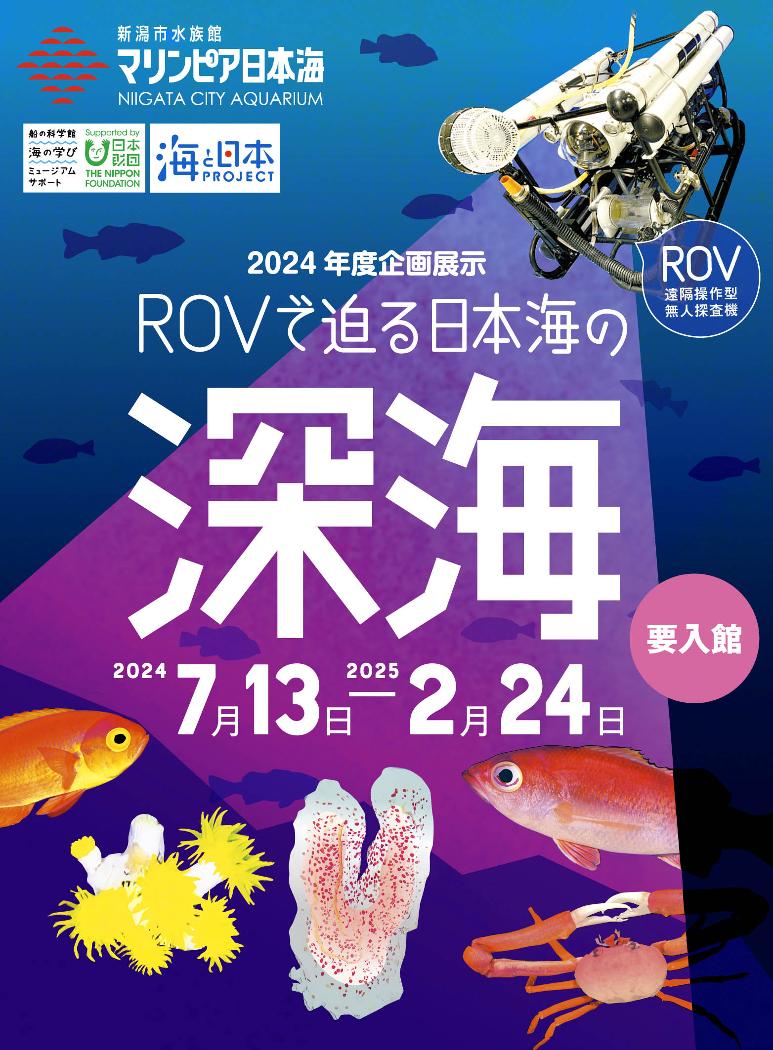 企画展示 ROVで迫る 日本海の深海 2024/7/13～2025/2/24