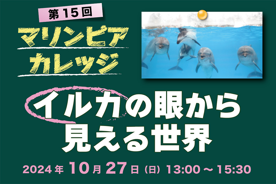 マリンピアカレッジ「イルカの眼から見える世界」10/27（日）