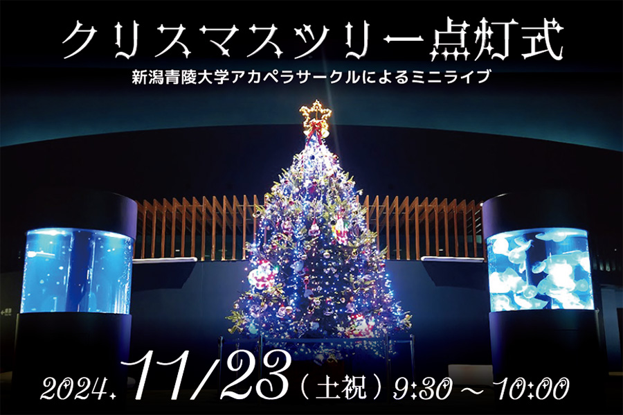 クリスマスツリー展示  11月23日～12月28日