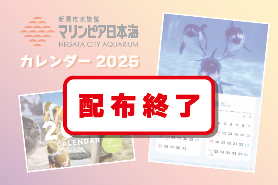 (終了しました)2025年オリジナルカレンダープレゼント